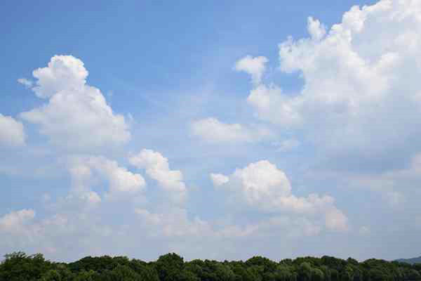 精準“削峰”戰臭氧，全力守護“瓷都藍”